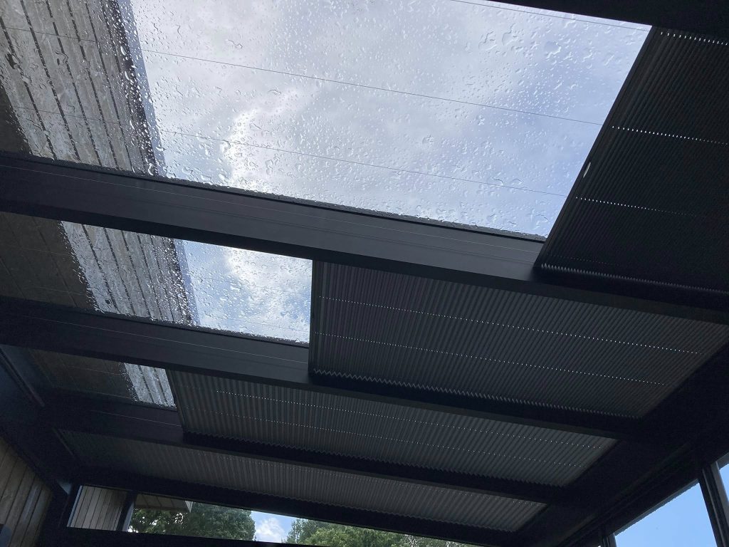 571117188 1290403172889267 910358073839940963 n